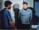 duo_mccoy_spock05.jpg