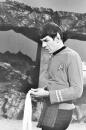 spock_amoktime3.jpg