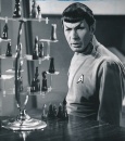 spock_chess03.jpg