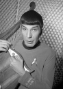 spock_lute.png