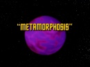 metamorphosis-br-061.jpg