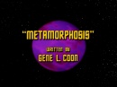 metamorphosis-br-062.jpg