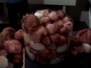 trouble-with-tribbles-552.jpg