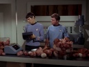 trouble-with-tribbles-559.jpg