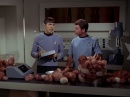 trouble-with-tribbles-560.jpg