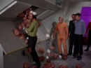 trouble-with-tribbles-695.jpg