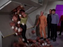 trouble-with-tribbles-696.jpg