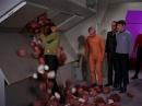 trouble-with-tribbles-703.jpg