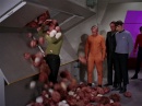 trouble-with-tribbles-704.jpg