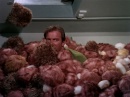 trouble-with-tribbles-708.jpg