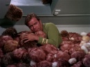 trouble-with-tribbles-709.jpg