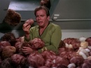 trouble-with-tribbles-710.jpg