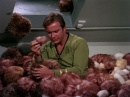 trouble-with-tribbles-711.jpg