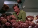 trouble-with-tribbles-712.jpg