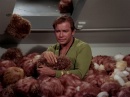 trouble-with-tribbles-718.jpg