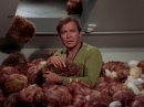 trouble-with-tribbles-722.jpg