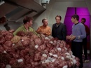 trouble-with-tribbles-726.jpg