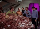 trouble-with-tribbles-732.jpg