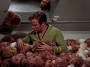 trouble-with-tribbles-735.jpg