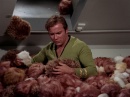trouble-with-tribbles-737.jpg
