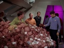 trouble-with-tribbles-742.jpg