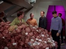 trouble-with-tribbles-743.jpg