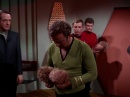 trouble-with-tribbles-782.jpg