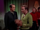 trouble-with-tribbles-799.jpg
