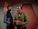 trouble-with-tribbles-812.jpg