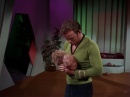 trouble-with-tribbles-817.jpg